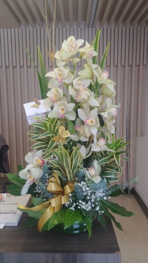 Jardin de orquideas R185