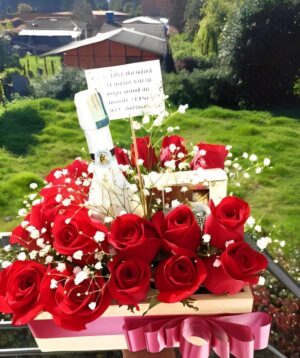 24 rosas, vino y ferrero x 4 R93